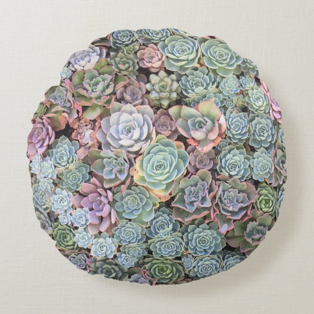 Saftige Garten-Mischung Sempervivum Rundes Kissen (Vorderseite)