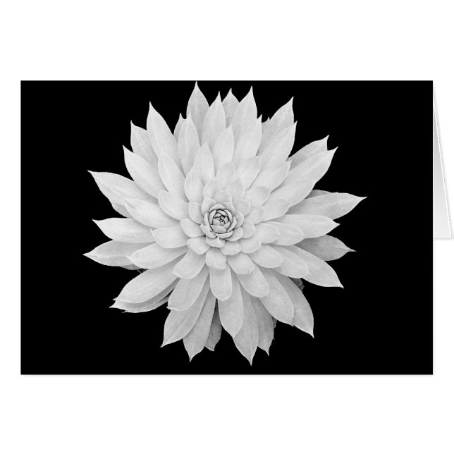 Saftige Mandala (Vorderseite (Horizontal))