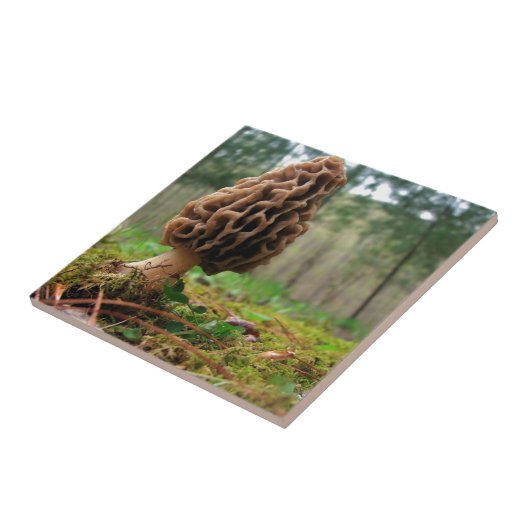 Saftige Morcheln Fliese (Seite)