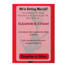 Saftige Rote Monochrome Einzelrose, die eine kühne