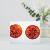 Saftige Tomatenscheiben Postkarte (Stehend Vorderseite)