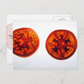 Saftige Tomatenscheiben Postkarte (Vorne/Hinten)