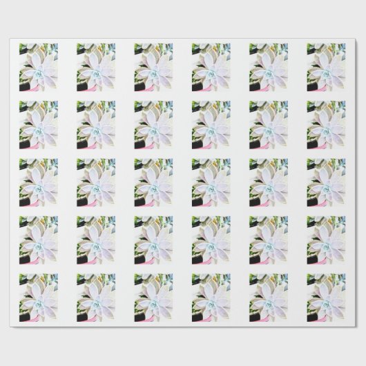 Saftiges Pflanzen-Geschenk-Verpackungs-Papier Geschenkpapier (Flach)