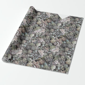 Saftiges Sempervivums - groß und gedämpft Geschenkpapier