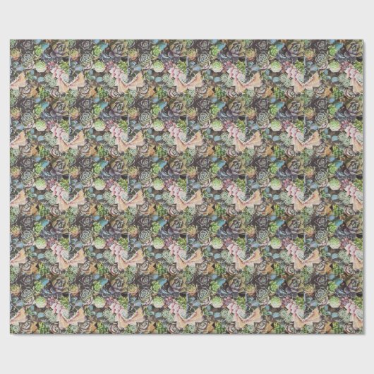 Saftiges Sempervivums - große Ausschnitte Geschenkpapier (Flach)