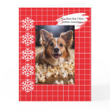 Sag deinem Hund, dass ich frohe Weihnachten gesagt