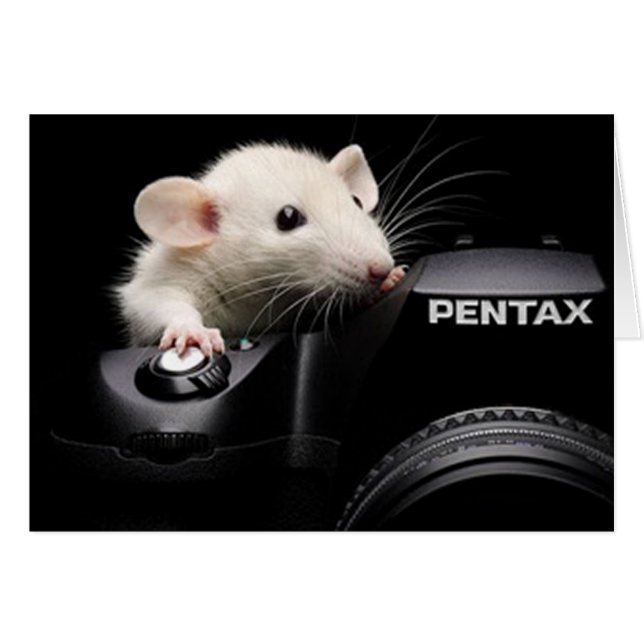 Sag Käse! (Vorderseite (Horizontal))