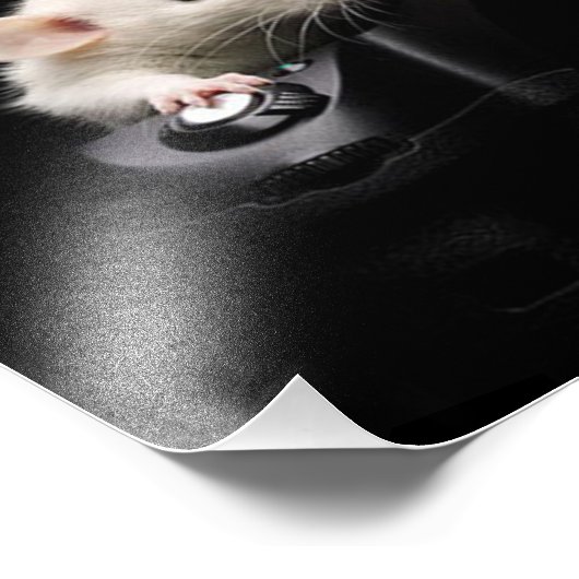 Sag Käse! Fotodruck (Ecke)