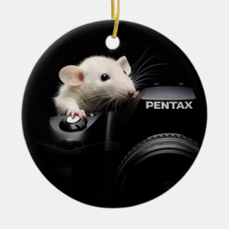 Sag Käse! Keramikornament