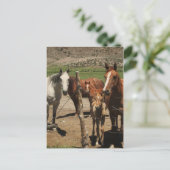 Sag Käse! : Postkarte (Stehend Vorderseite)