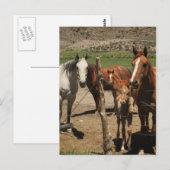 Sag Käse! : Postkarte (Vorne/Hinten)