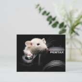 Sag Käse! Postkarte (Stehend Vorderseite)