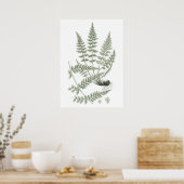Sage Green Fern Pflanze Art Print no 6 Wohngestalt Poster (Küche)