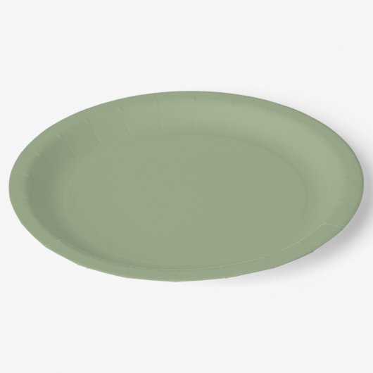 Sage Green Pappteller (Schrägansicht)