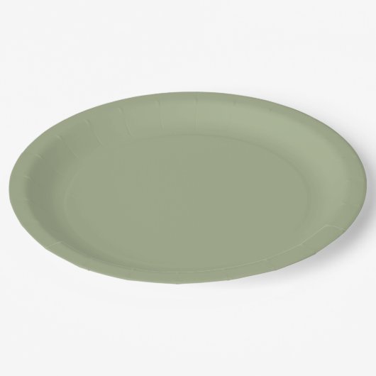 Sage Green Pappteller (Schrägansicht)