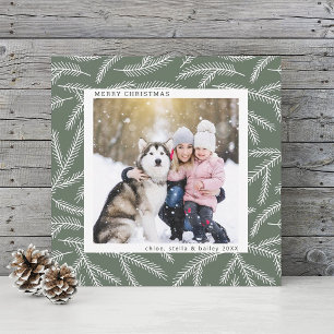 Sage Green Pine Branch Christmas Foto Square Feiertagskarte