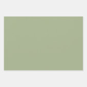 Sage Green Plain Solid Color  Geschenkpapier Set (Vorderseite)