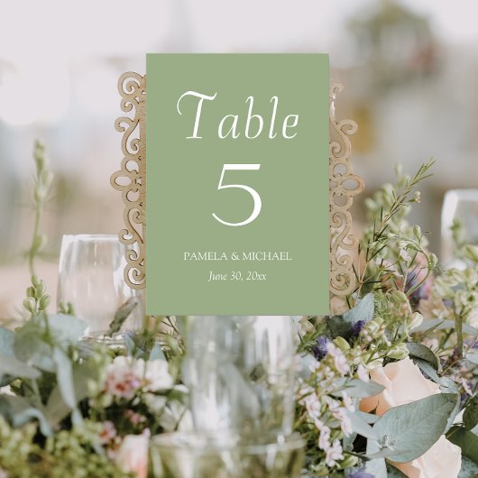 Sage Green Simple Style Wedding Tischnummer