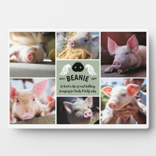 Sage Green Wings Pig Snout Memorial Foto Collage Fotoplatte (Vorderseite)