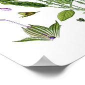 Sage Herb Botanische Küche Dining Wall Decke Poster (Ecke)