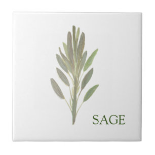 Sage Herb Grüne Küche Kulinarisch Grüne Pflanze Fliese