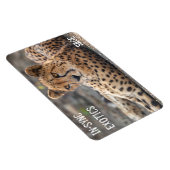 Sage - magnet (Rechte Seite)