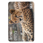 Sage - magnet (Vertikal)