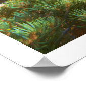 Sage Mountains Sunset Poster (Ecke)