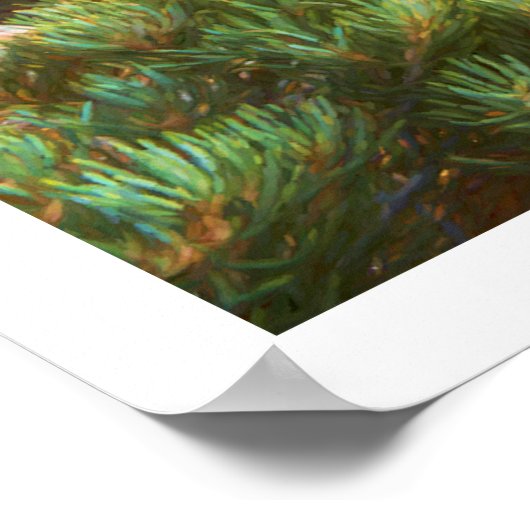 Sage Mountains Sunset Poster (Ecke)