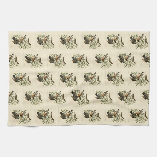 Sage Thrasher und Varied Thrush, Audubons Vögel Geschirrtuch (Horizontal)