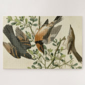 Sage Thrasher und Varied Thrush, Audubons Vögel Puzzle (Horizontal)