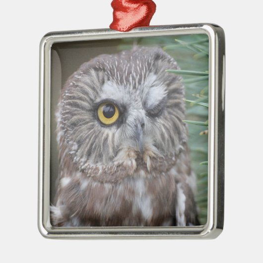 Säge-whet Eule Ornament Aus Metall (Links)