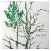 Sagebrush Botanischer Pflanze Pen und Tinte Zeichn Fliese (Vorderseite)