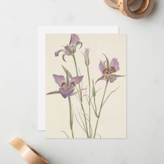 Sagebrush Mariposa von Mary Vaux Walcott Mitteilungskarte (Vorderseite/Rückseite Beispiel)