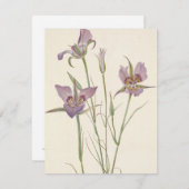 Sagebrush Mariposa von Mary Vaux Walcott Mitteilungskarte (Vorne/Hinten)