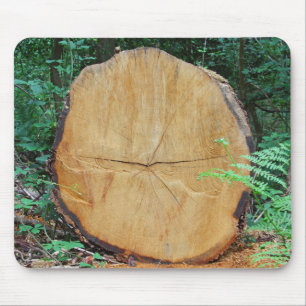 Sägeholzstamm in einem Wald Mousepad