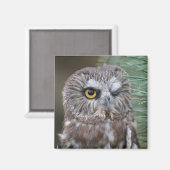 Sägemehl Magnet (Vorderseite/Rückseite)