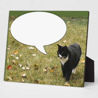 Sagen Sie etwas Reden Bubble Cat Fun Fotoplatte
