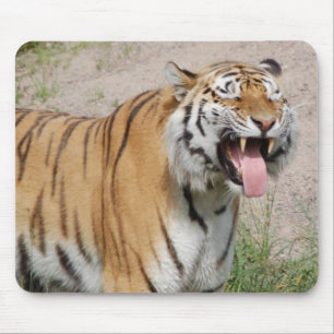 Sagen Sie Käse-Tiger Mousepad
