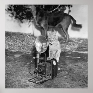 Sagen Sie Katzenminze: 1936 Poster