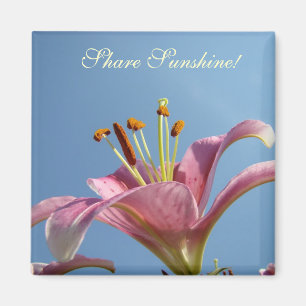 Sagen Sie Sonnenschein! Magnet Pink Calla Lilies B