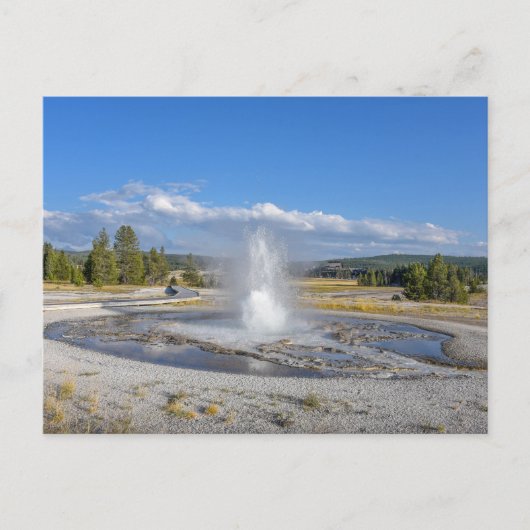 Sägewerk Geyser, Yellowstone Nationalpark Postkarte (Vorderseite)