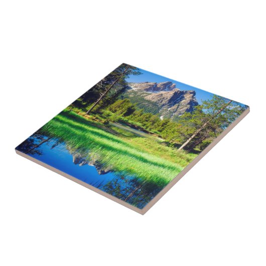 Sägezahnwild Fliese (Seite)