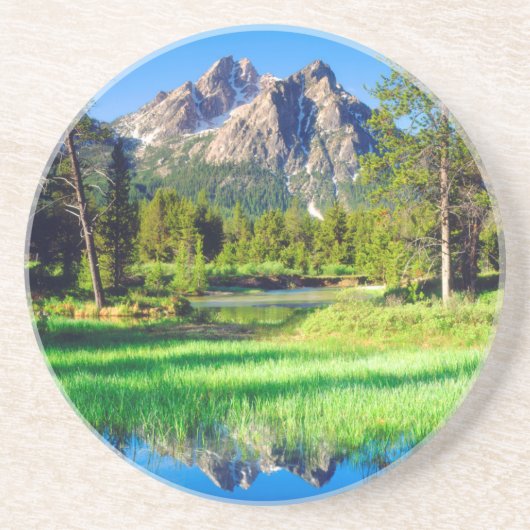 Sägezahnwild Getränkeuntersetzer (Vorne)