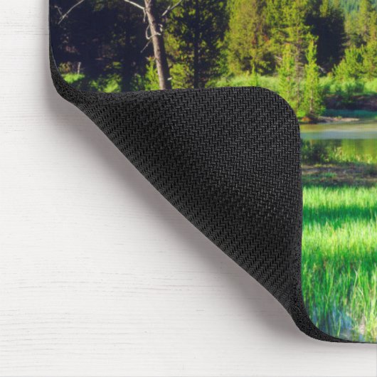 Sägezahnwild Mousepad (Ecke)