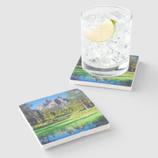 Sägezahnwild Steinuntersetzer (Seitenansicht)