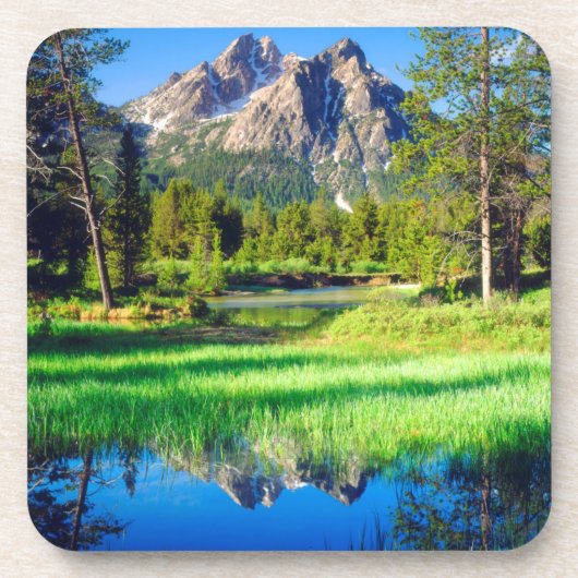 Sägezahnwild Untersetzer (Vorderseite)