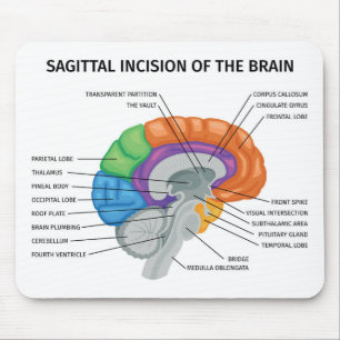 Sagittal Inzision des Gehirns Mousepad