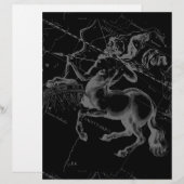 Sagittarius Constellation Classy Hevelius Engaving (Vorne/Hinten)