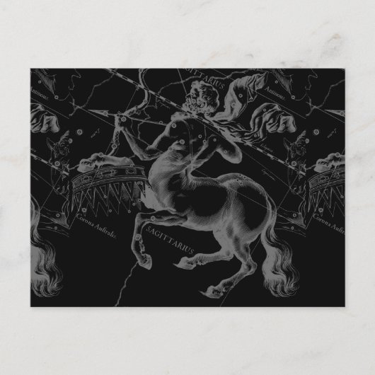 Sagittarius Constellation Classy Hevelius Engaving Postkarte (Vorderseite)